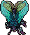 Lacewing Moth