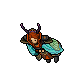 Moth Cape Outfit