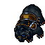 Grizzly Bear