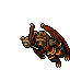 Draccoon Herald - Kobieta