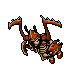 Insectoid - Kobieta